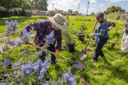 Blue Shield volunteer tree planting with the Student Conservation Association in Oakland, California. 